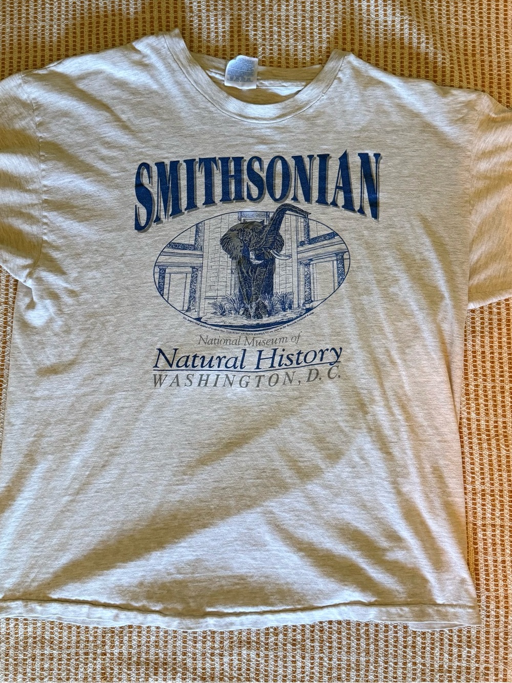 Smithsonian Natural History Washington D.C. Graphic Tee - Light Gray/Blue